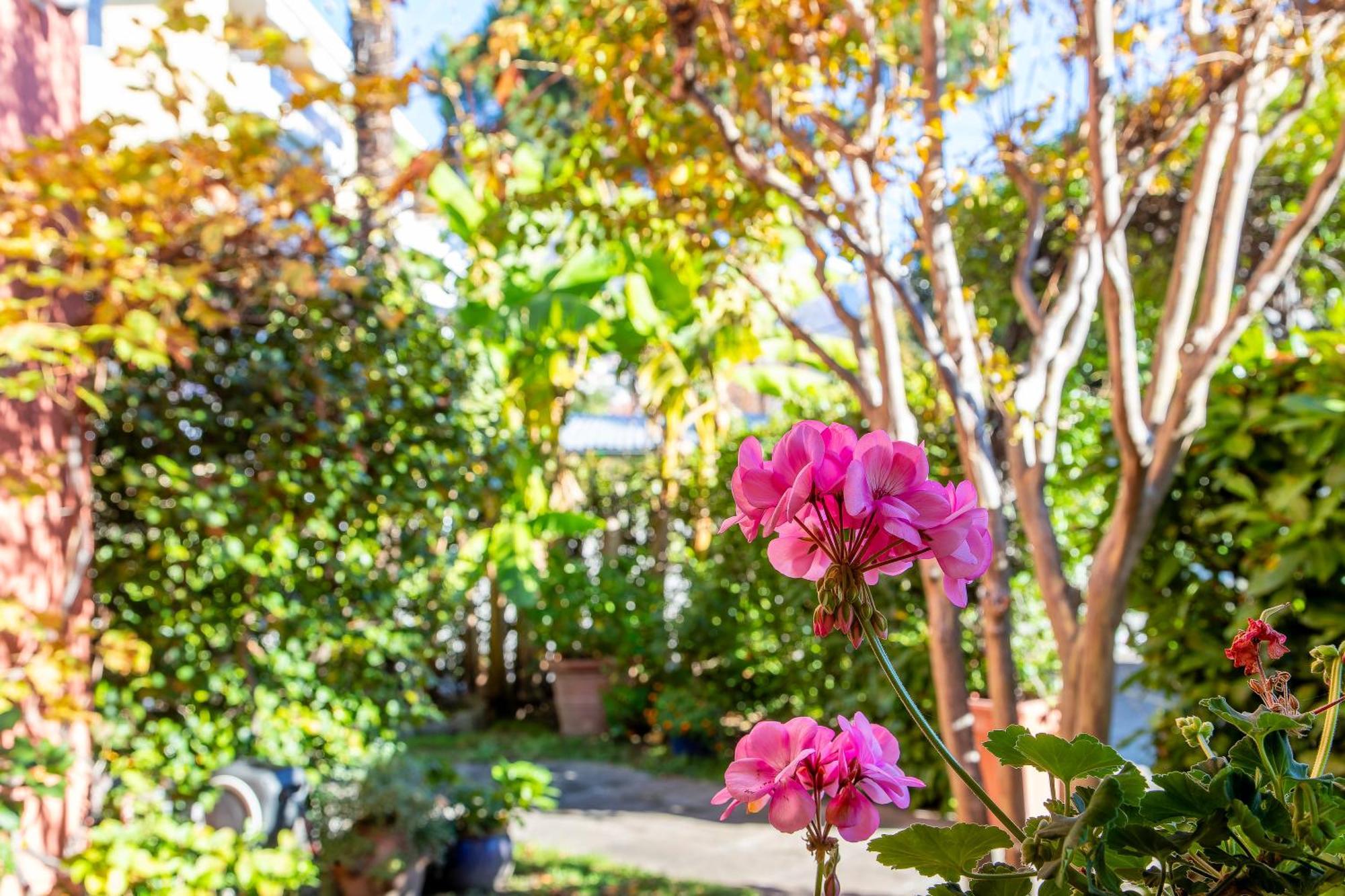 Hotel Garni Dei Fiori Ασκόνα Εξωτερικό φωτογραφία